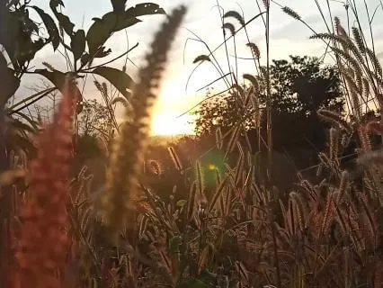 Quiet Dawn For Shoulders That Have Been Up Too Long