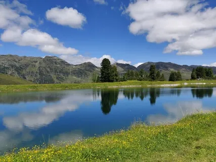 Quiet Down & Focus - Mid Alpha Wave Binaural Beats