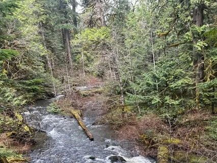 Quiet Down & Tune In