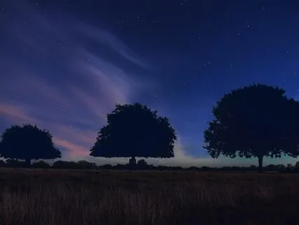 Quiet Escape: Leave Stress Behind