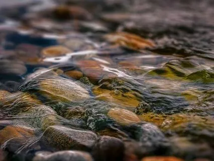 Quiet Forest Stream For Deep Rest & Sleep (8 Hours)