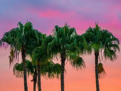 Quiet Heart Awakening: Sound Bath