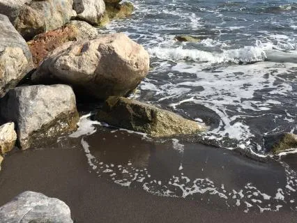 Quiet Kindness | A Calming Meditation For Inner Peace