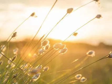 Quiet Light Piano Meditation