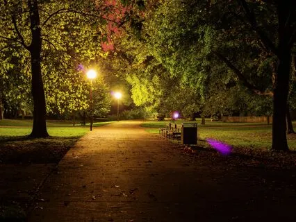 Quiet Magic In The Park At Dusk