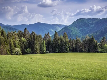 Quiet Meadow Meditation