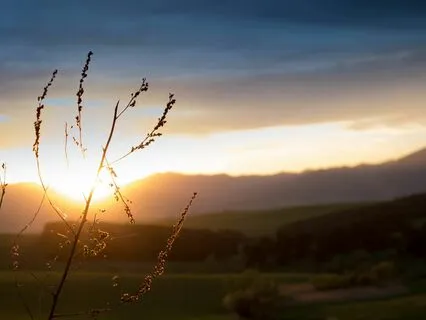 Quiet Moments: Escape from Stress