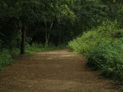 Quiet Moments Unfold