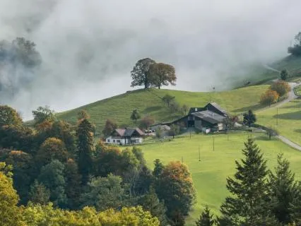 Quiet Of The Valley