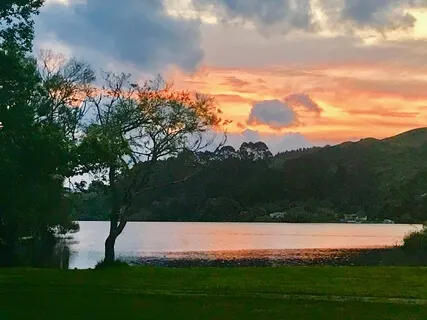 Quiet One On The Harp