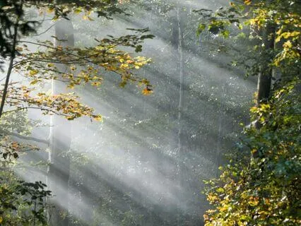 Quiet Path Unfolding