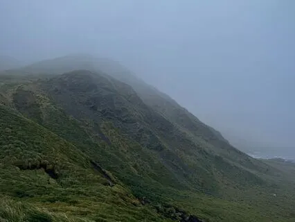 Quiet Rain and Gentle Wind for Deep Sleep