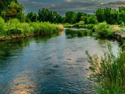 Quiet Reflection: Ease Tension Instantly