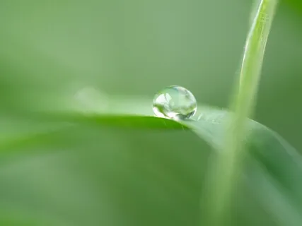 Quiet Reflection — Relaxing, Meditative Piano Music