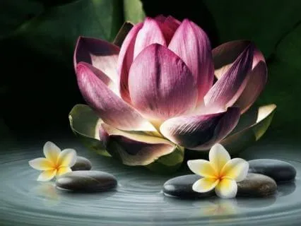 Quiet Reset To Unwind From Stress And Anxiety