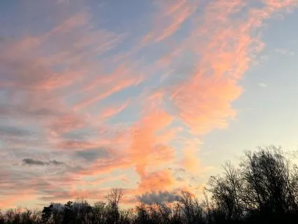 Quiet Sky: Ambient Music & Delta Binaural Beats for Sleep