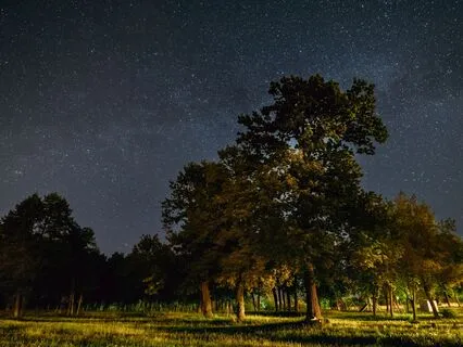 Quiet Slumber: Ease Into Rest