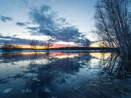 Quiet Slumber: Peaceful Night Music