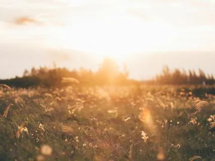 Quiet The Inner Critic: A 10-Minute Meditation