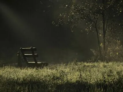 Quiet The Mind - Extended Version