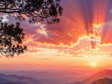 Quiet The Noise: A Meditation For Clarity And Self-Trust
