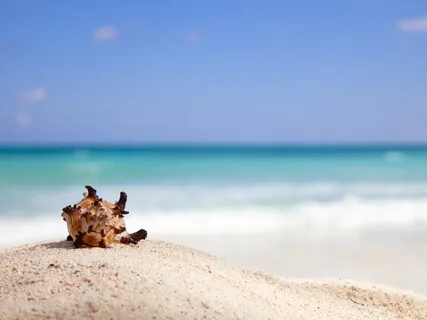 Quiet Time In His Presence