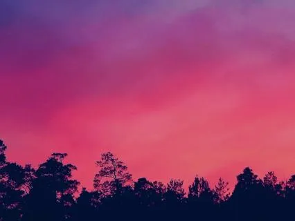 Quiet Velvet Skies