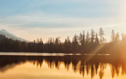 Quiet Your Mind & Listen To Your Limitations