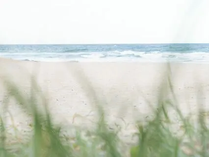 Quiet Your Mind, Even If You Think You Can't