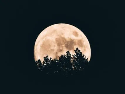 Quiet Your Mind For A Deep Sleep