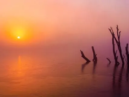 Quiet Your Mind & Relax Into Sleep (With Binaural Beats)