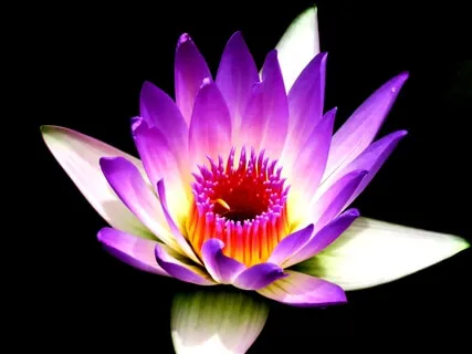 Quietening Mind With Affirmations