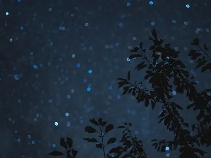 Quieting A Busy Mind Before Sleep