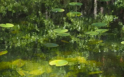 Quieting Anxiety & Overthinking - 5 Minutes To Inner Peace