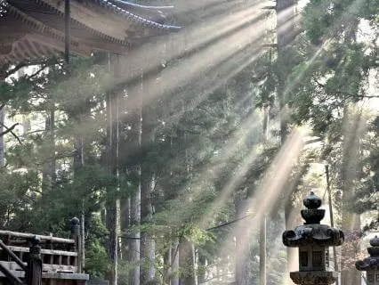 Quieting Ourselves To Hear The Word Of God