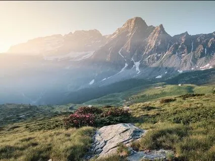 Quieting The Mind- Guided Yoga Nidra