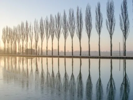 Quieting The Mind With Square Breathing