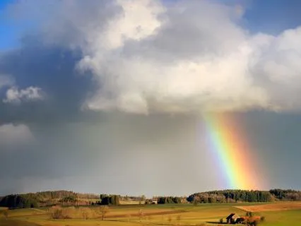 Quieting The Overthinking Mind: Access The Stillness Within