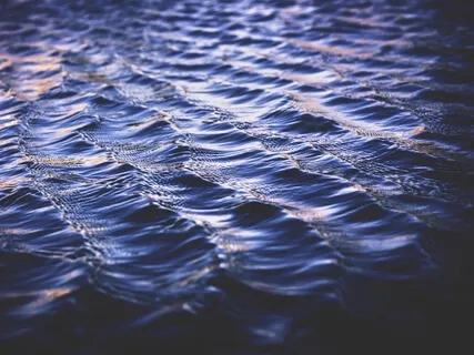 Quieting The Surface Mind 