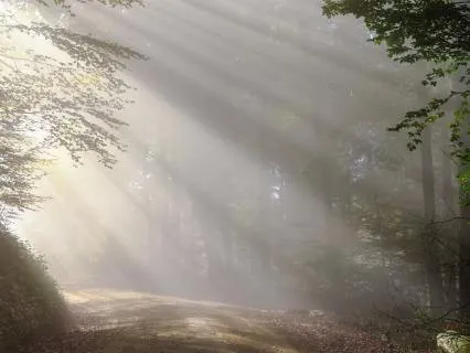 Quieting The "What If?" Spiral