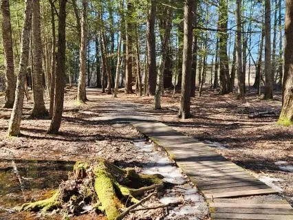 Quietly Coming Home To Center