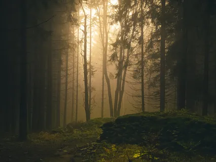 Quietly, Let's Meditate