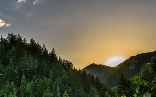 Quietly Settling Into Stillness