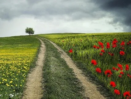 1.10 Quietude In Am (EAB)