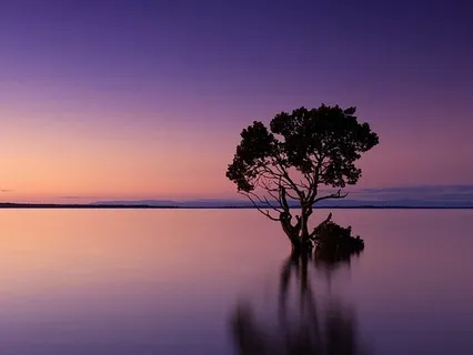 1.6 Quietude In F (AAC)