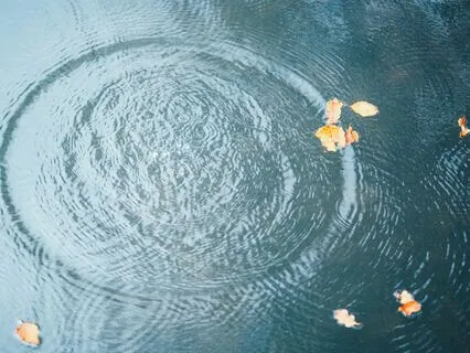 Quintessence (A Poem About Frequency)