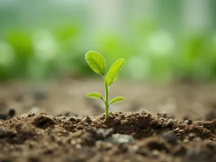 Quit Drinking Meditation