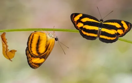 Quit Pointing At What You Don't Want