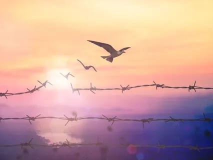 Quit Substance Abuse While You Sleep