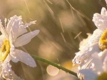 R.A.I.N. For Difficult Emotions